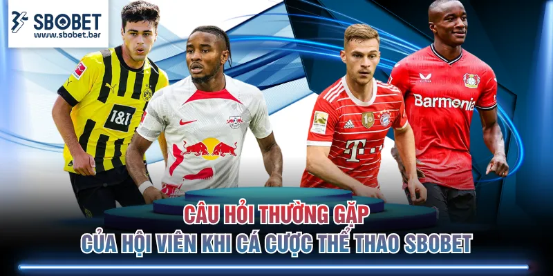 Câu hỏi thường gặp của hội viên khi cá cược thể thao SBOBET