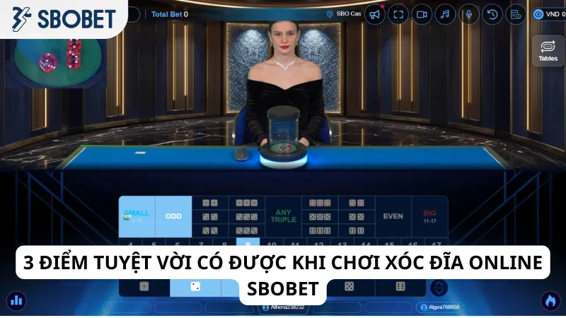 3 điểm tuyệt vời có được khi chơi xóc đĩa online Sbobet