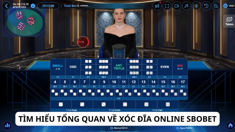 Tìm hiểu tổng quan về xóc đĩa online Sbobet