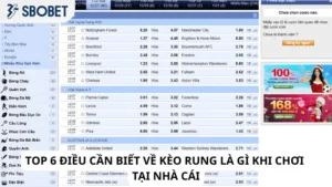 Top 6 điều cần biết về kèo rung là gì khi chơi tại nhà cái